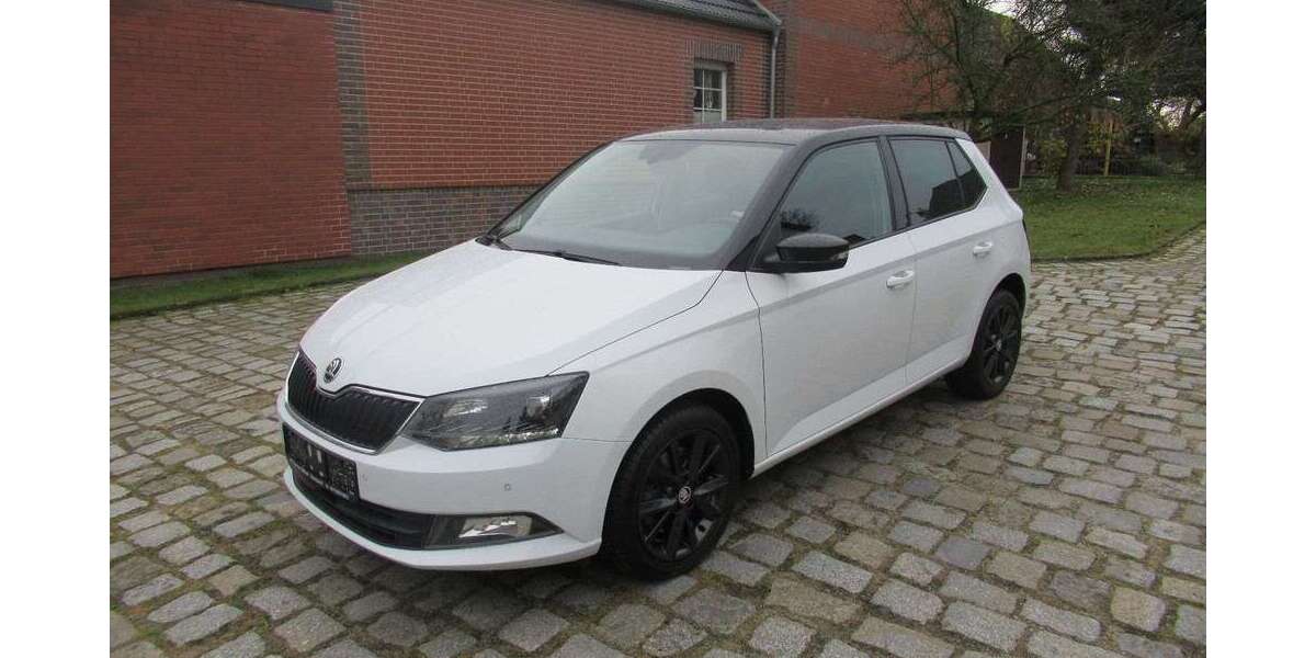 Skoda Fabia 91.700 km 11.500 &euro; Vetschau 03226